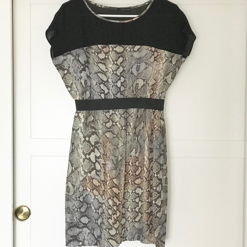 Zara Cute stretch waist snake print dress